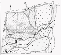 Vegetation Map of Alexandria Park